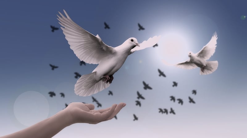 Emotional Release through Dance